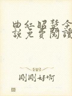 曲红昭楚今渊小说免费阅读最新章节封面