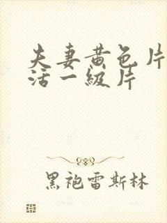 夫妻黄色片性生活一级片