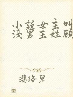 小说女主叫苏浅浅男主姓顾