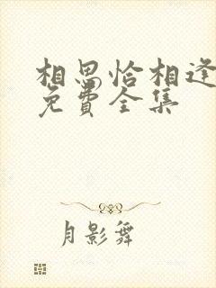 相思恰相逢短剧免费全集封面