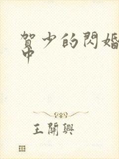 贺少的闪婚暖妻中