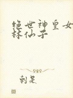 绝世神皇女主角林仙子