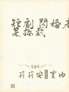 短剧 闪婚老公是总裁