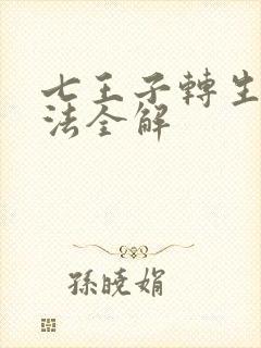 七王子转生之魔法全解