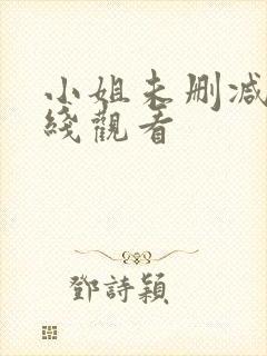 小姐未删减版在线观看封面