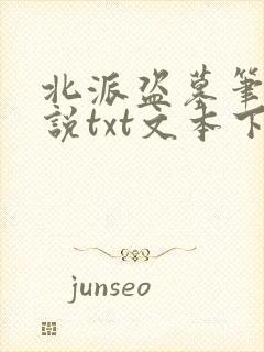 北派盗墓笔记小说txt文本下载