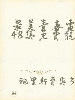 最美青春电视剧48集免费观看完整封面