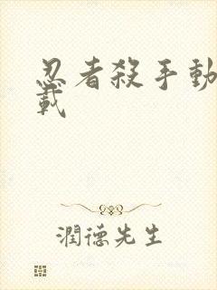 忍者杀手动画下载封面