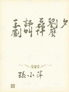 王译磊刘夕语短剧叫什么封面