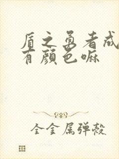 盾之勇者成名录有颜色嘛封面