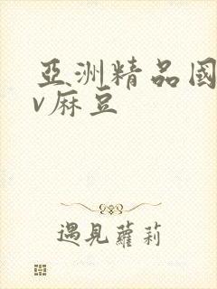 亚洲精品国产av麻豆