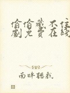 偷偷藏不住电视剧免费在线