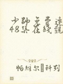 少帅免费连续剧48集在线观看封面