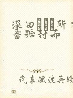 深田えいみ所有番号封面