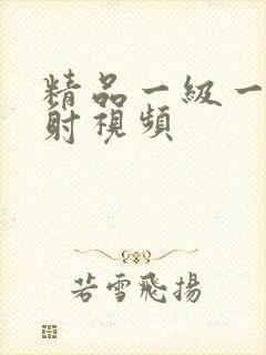 精品一级一片内射视频封面