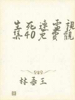 生死连电视剧全集40免费观看360封面