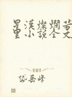 星汉灿烂若出其里小说全文免费阅读