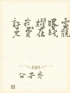 许我耀眼电视剧免费在线观看