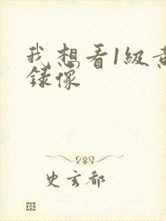 我想看1级黄色录像