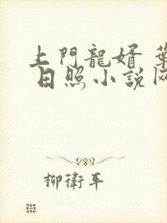 上门龙婿 叶辰 日照小说网