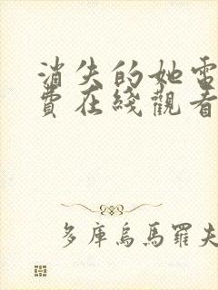 消失的她电影免费在线观看封面