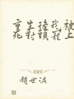 重生后我被渣男死对头宠上天.