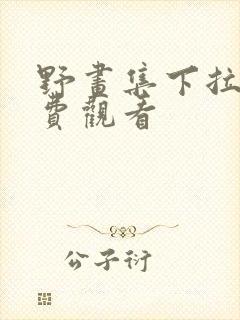 野画集下拉式免费观看