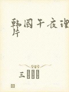韩国午夜理论影片