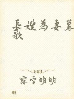 长嫂为妻暮色酒歌封面