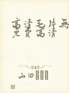高清毛片无遮挡免费高清