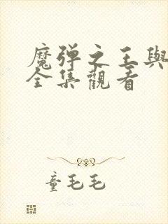 魔弹之王与战姬全集观看