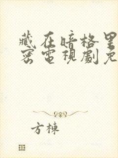 藏在暗格里的秘密电视剧免费看