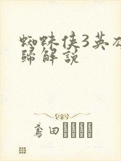 蜘蛛侠3英雄无归解说