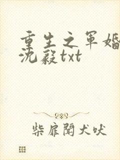 重生之军婚李晴沈毅txt