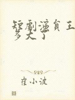 短剧演员王云云多大了