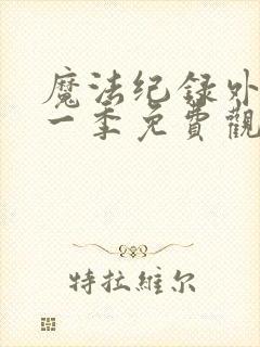 魔法纪录外传第一季免费观看