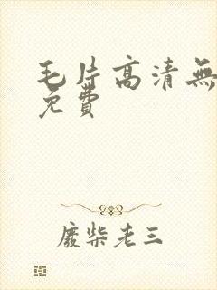 毛片高清无遮挡免费