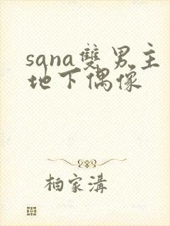 sana双男主地下偶像