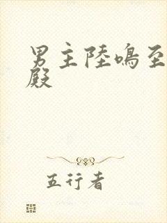 男主陆鸣至尊神殿