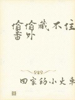 偷偷藏不住新婚番外