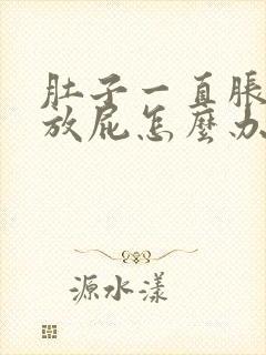 肚子一直胀气想放屁怎么办封面