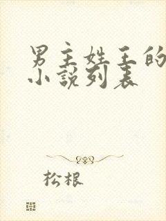 男主姓王的都市小说列表