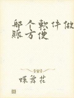 哪个软件做账记账方便