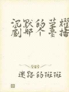 沉默的荣耀电视剧哪个台播放