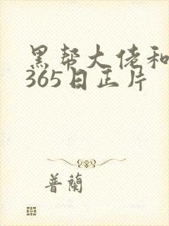 黑帮大佬和我的365日正片
