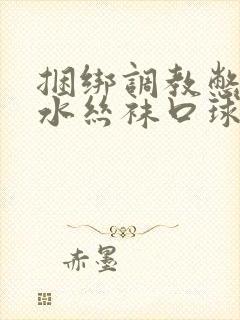 捆绑调教憋尿灌水丝袜口球vk封面