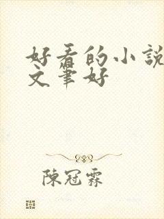 好看的小说言情文笔好封面