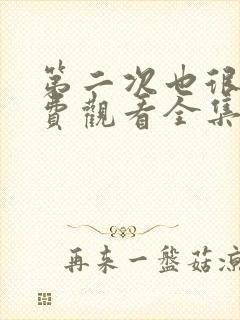 第二次也很美免费观看全集完整版封面