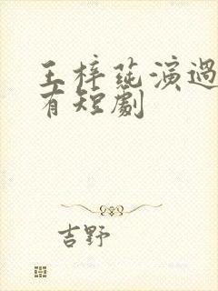 王梓莼演过的所有短剧