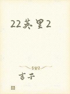 22英里2封面